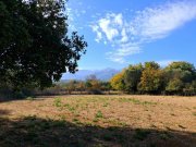 Armeni bei Chania MIT VIDEO: Kreta, Armeni: Erstklassiges Baugrundstück mit Bergblick, Obstgarten und Strandnähe Grundstück kaufen